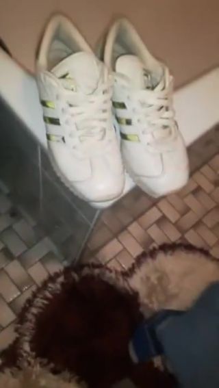 FreePartyToons Fuck my adidas country ripple sneakers BestSexWebcam - 1