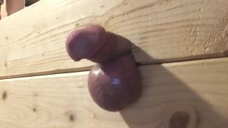 4some Flagging My Cock and Balls See-Tube - 1