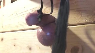 Deflowered Flagging My Cock and Balls Brunettes - 1